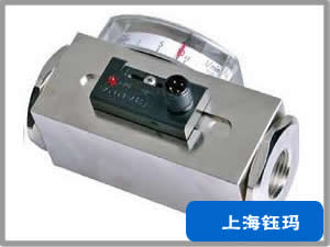 智能導(dǎo)波液位計(jì)YM-DBLF13KV